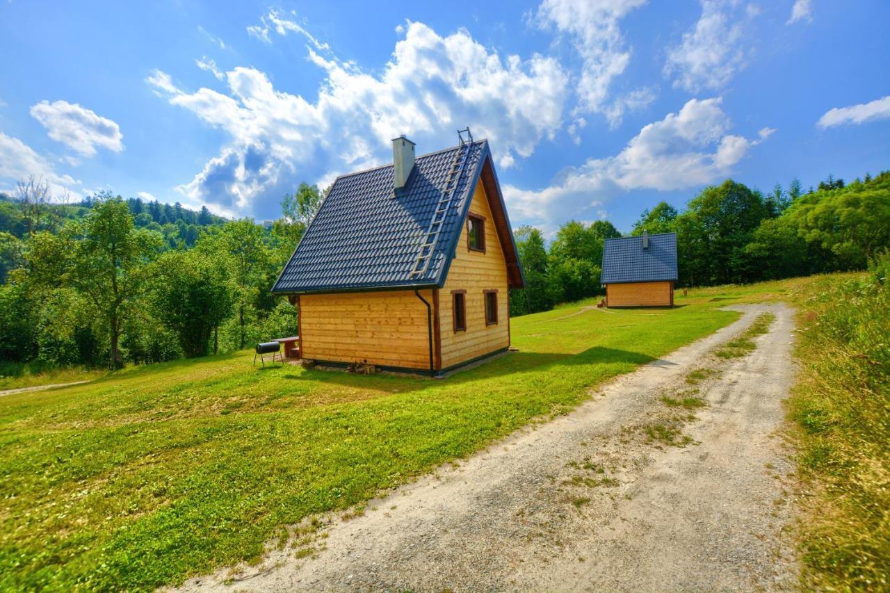 Vila Dwernik Bukowina Bieszczady Exteriér fotografie